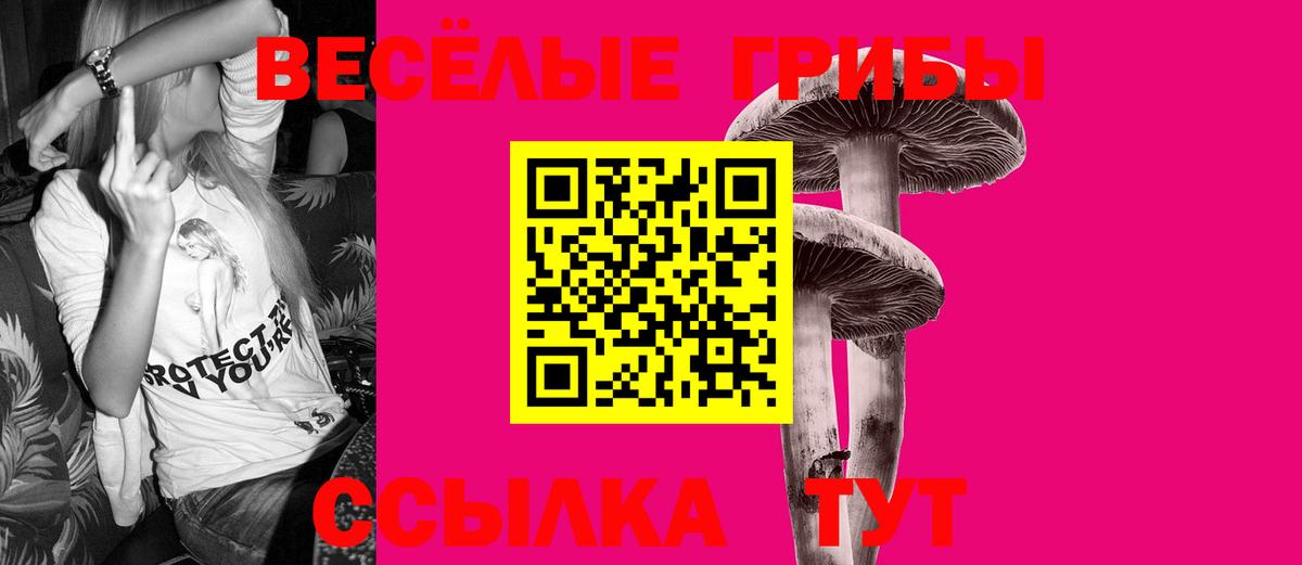 Псилоцибиновые грибы мухоморы Отрадный